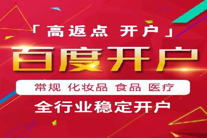 SEM运营策略案例分析